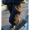 Cargohose Urban pro schwarz